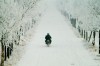 Motorcycle Weather